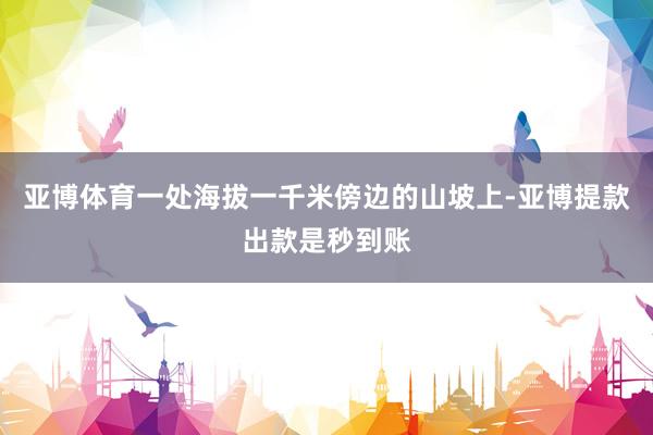 亚博体育一处海拔一千米傍边的山坡上-亚博提款出款是秒到账