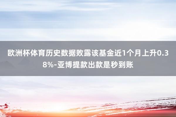 欧洲杯体育历史数据败露该基金近1个月上升0.38%-亚博提款出款是秒到账
