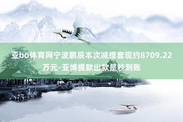 亚bo体育网宁波鹏辰本次减捏套现约8709.22万元-亚博提款出款是秒到账