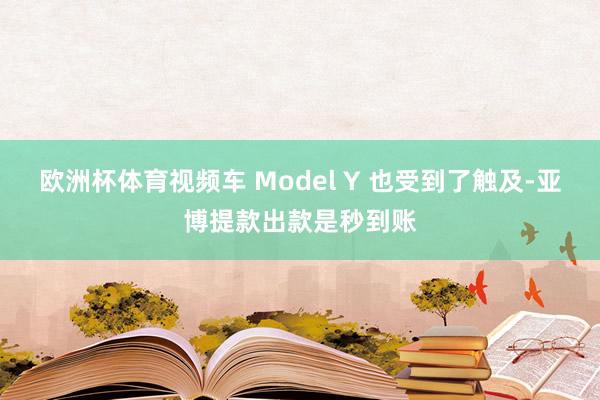 欧洲杯体育视频车 Model Y 也受到了触及-亚博提款出款是秒到账