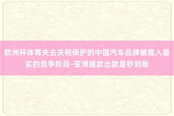 欧洲杯体育失去关税保护的中国汽车品牌被推入着实的竞争阶段-亚博提款出款是秒到账