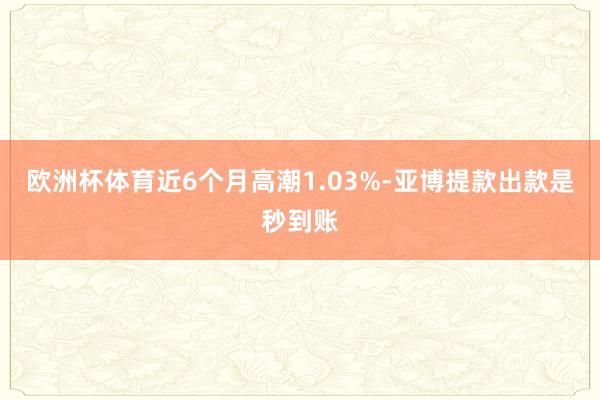 欧洲杯体育近6个月高潮1.03%-亚博提款出款是秒到账